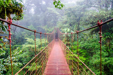 Load image into Gallery viewer, También puedes vivir el sueño de Costa Rica
